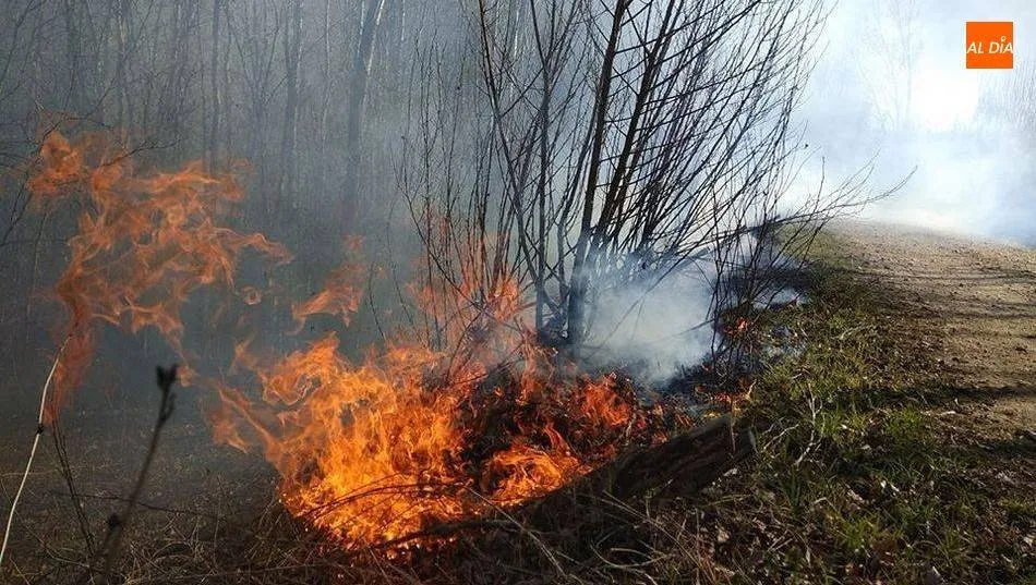 La Junta activa la alerta por riesgo de incendios hasta el viernes. Archivo