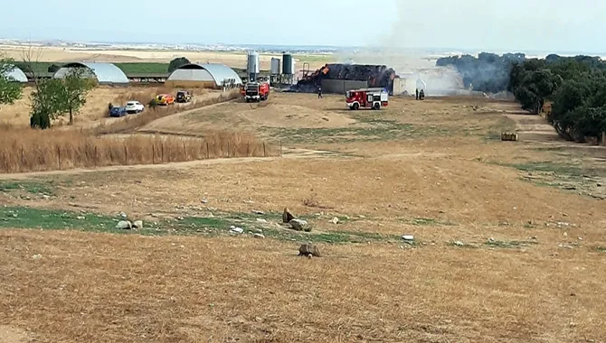 Los bomberos trabajaban en la extinción de un incendio en una finca cercana a Valdelosa