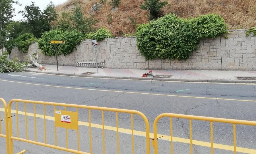 Zona del paseo de San Vicente donde se han cortado los árboles. Foto de Miguel Vegas