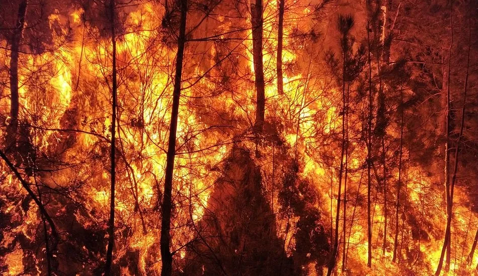 El incendio en Las Hurdes - Batallón T-15 Twitter