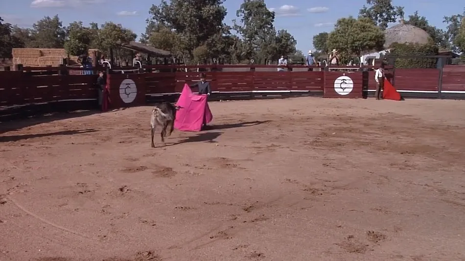 Uno de los alumnos de la Escuela Salmantina en pleno tentadero - Dip. Salamanca