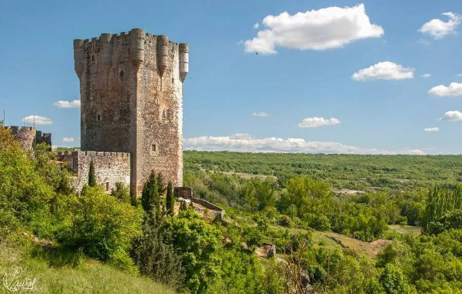 Historia que se aferra