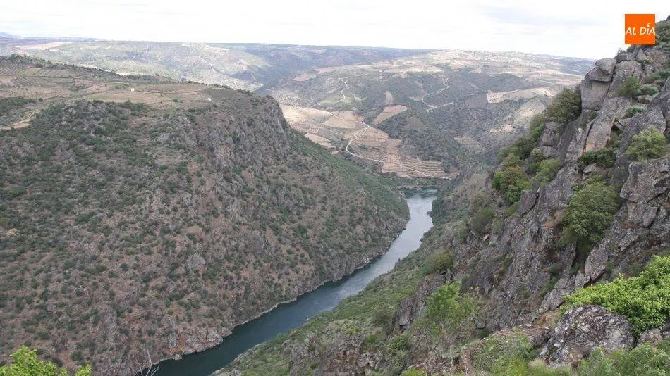 El CITER2020 se celebrará vía online, con inscripción gratuita, entre los días 1 y 3 de octubre