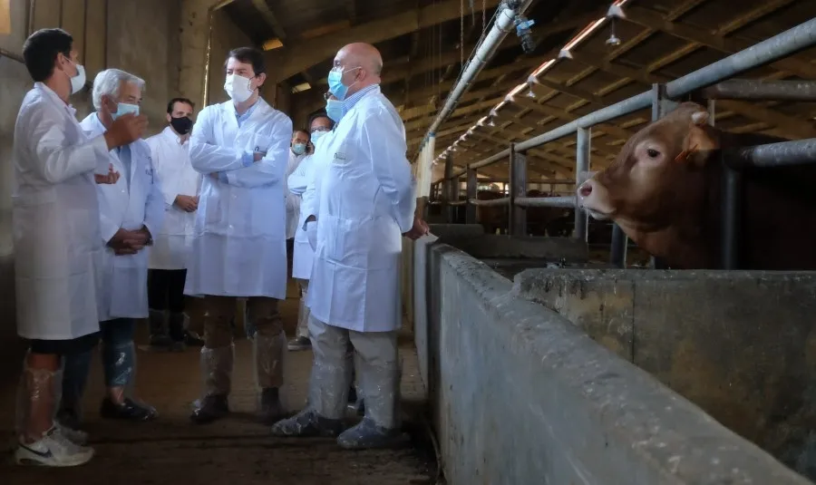 Visita del presidente de la Junta de Castilla y León, Alfonso Fernández Mañueco, a una explotación ganadera de Valladolid