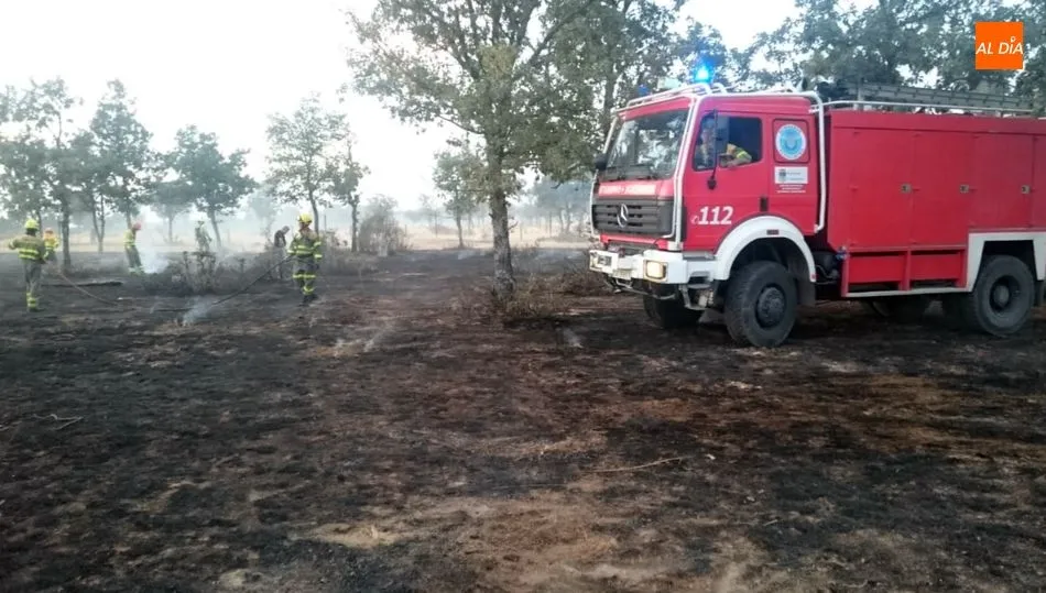 La rápida intervención de los medios evitó que el fuego se propagara a pesar de las fuertes rachas de viento
