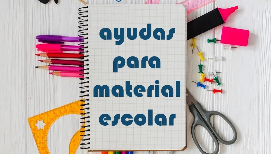 El importe individual máximo para los beneficiarios de las ayudas será de 60 euros