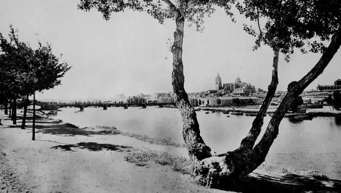 El árbol de los novios y el perfil de Salamanca
