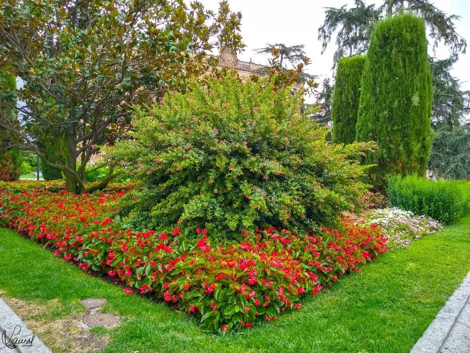 Vergel desapercibido