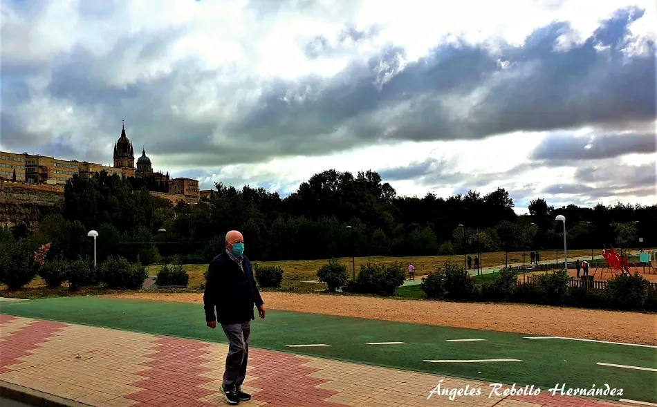 El paseante solitario