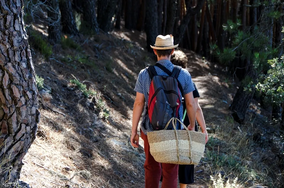 Senderistas en la Sierra de Francia, en la ruta de La Torrita. Foto de Manuel Lamas