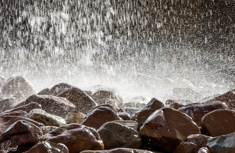 ‘Be water, my friend’