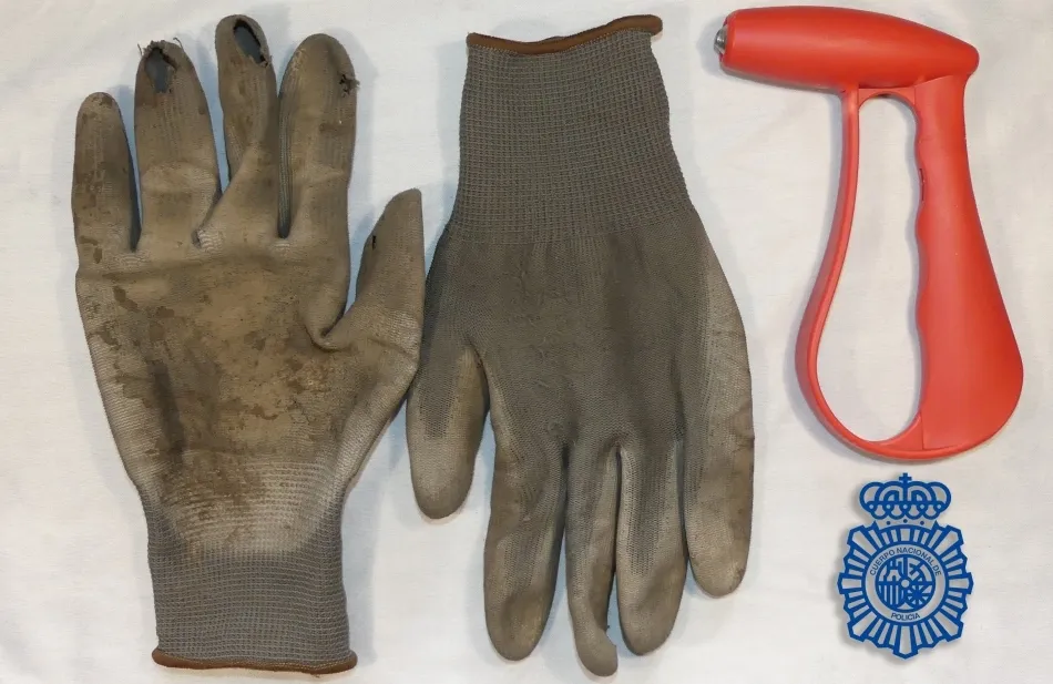 Efectos intervenidos en esta detención