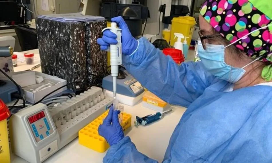 Sanitaria realizando prueba PCR. Archivo