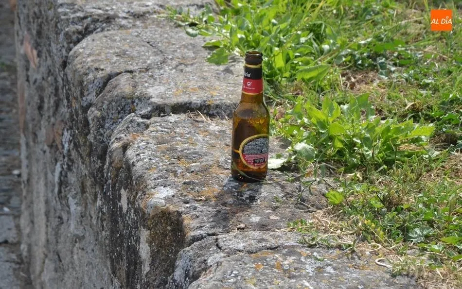 La pandemia de la Covid ha generado cuadros depresivos, abuso de alcohol, traumas y alteraciones...