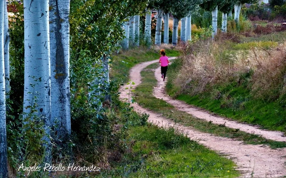 La compañía del camino