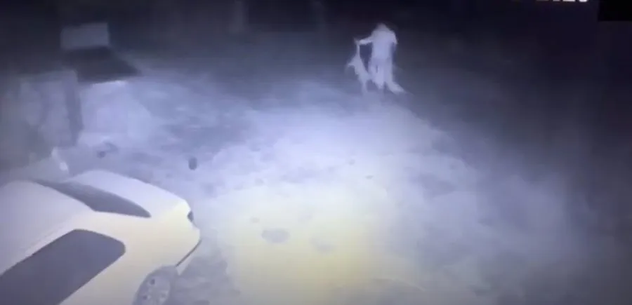 Las cámaras de seguridad grabaron el asalto