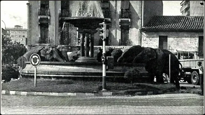 El circo en la ciudad