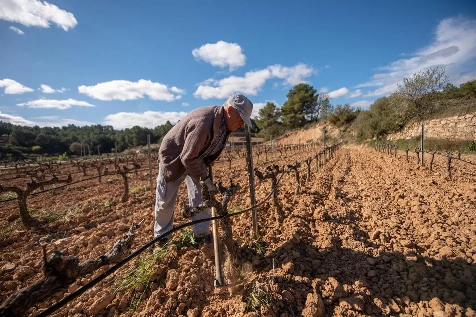 Un agricultor trabajando en sus tierras