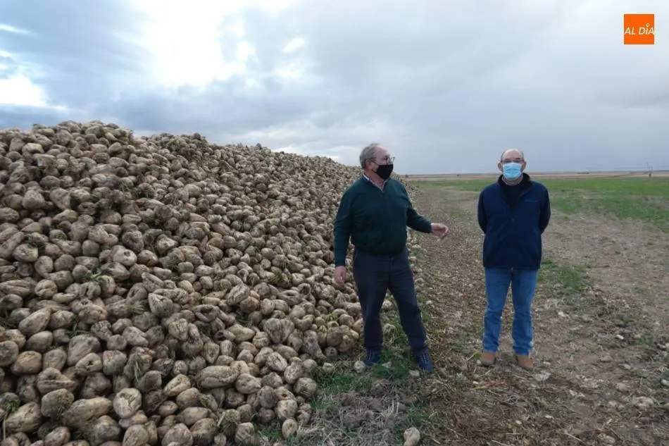 Agricultores de Zorita de la Frontera junto a su cosecha de remolacha - Jorge Holguera, archivo