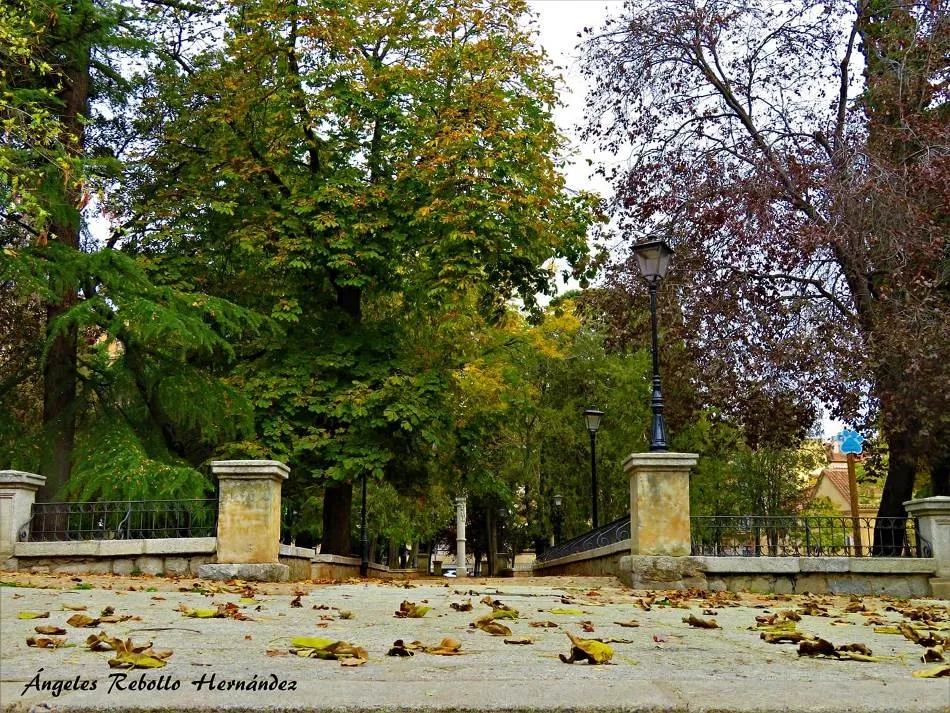 Otoñada arrebatadora