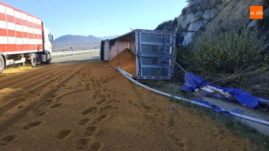 Cargamento de pienso sobre la A-66, tras el vuelco del camión