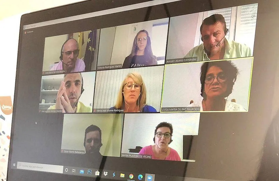 Imagen de una de las dos sesiones telemáticas celebradas en agosto