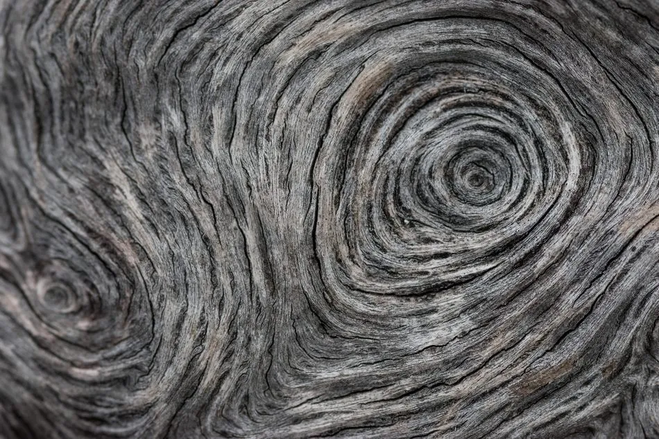 1º Premio. Mirada, de Olmo Mezquita Carballo.