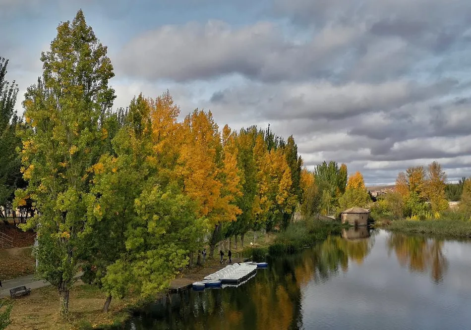 Cuando el cielo avisa
