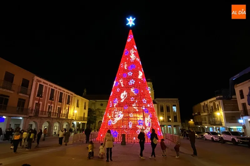El gran arbol luminoso de Navidad esta instalado en la Plaza de la Constitución