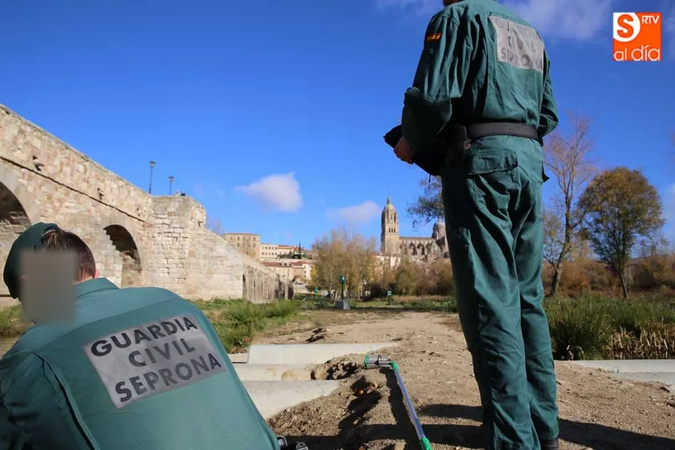 Agentes del Seprona trabajando en Salamanca - Archivo
