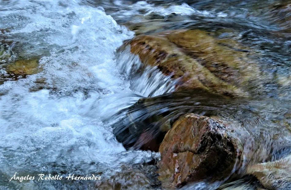 Abstracciones del agua