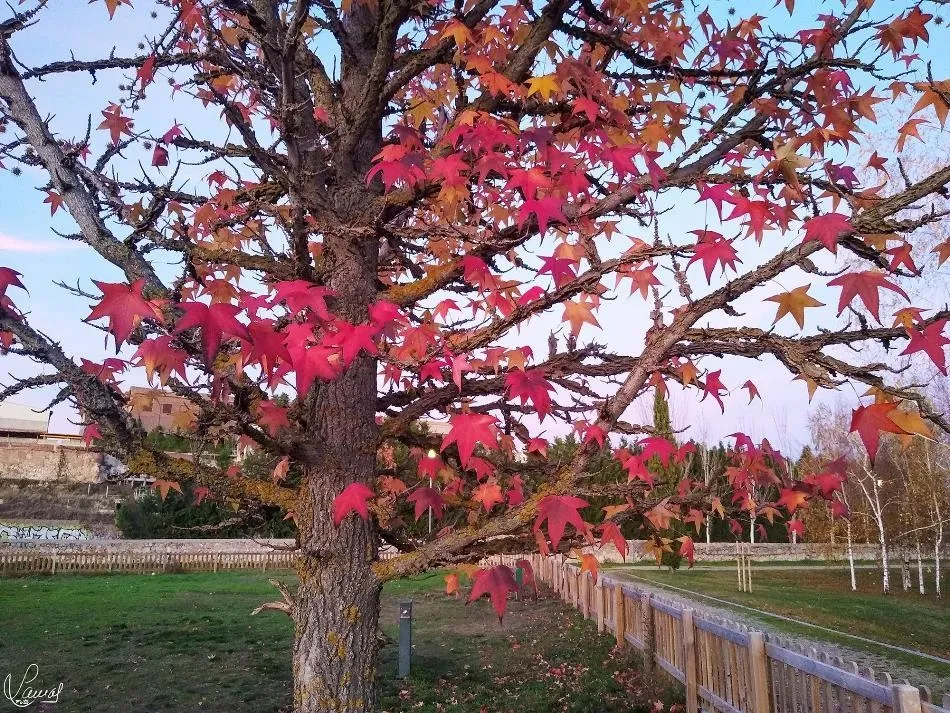 Colores que enamoran