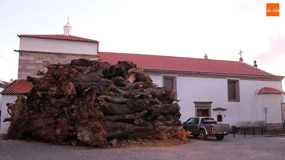 El Madeiro es uno de los mayores símbolos de la identidad de Penamacor/ Fotos: MARTÍN-GARAY