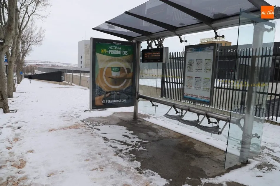 Una parada de autobús en la mañana de hoy - Fotos: Lydia González