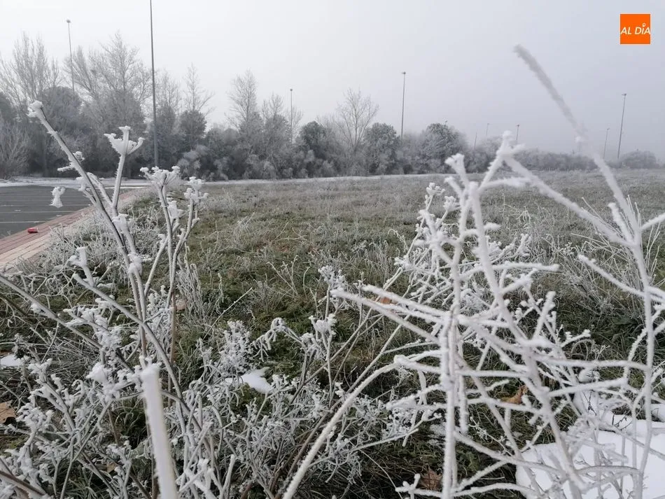 Nueva alerta por bajas temperaturas en Salamanca que llegará a -5 grados mañana
