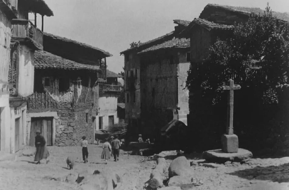El marrano de San Antón, un ritual con más de cinco siglos de historia