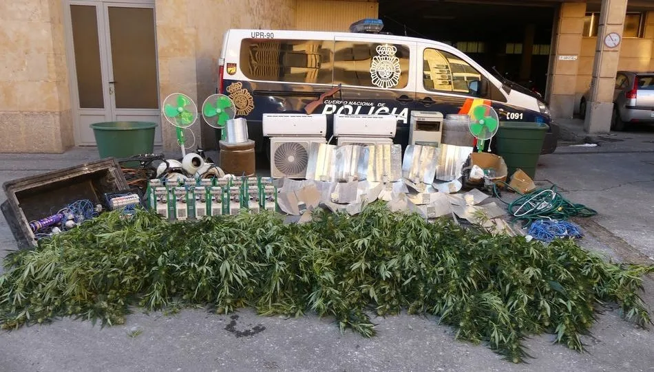 Droga intervenida en esta operación