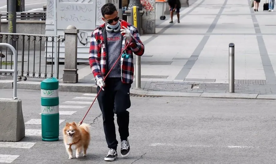 Según ha publicado la Junta de Castilla y León, en su Guía de Aplicación de los Niveles de Alerta, sacar al perro a hacer sus necesidades más allá de las 20:00 horas está considerado como situación de necesidad o análoga. Foto EP