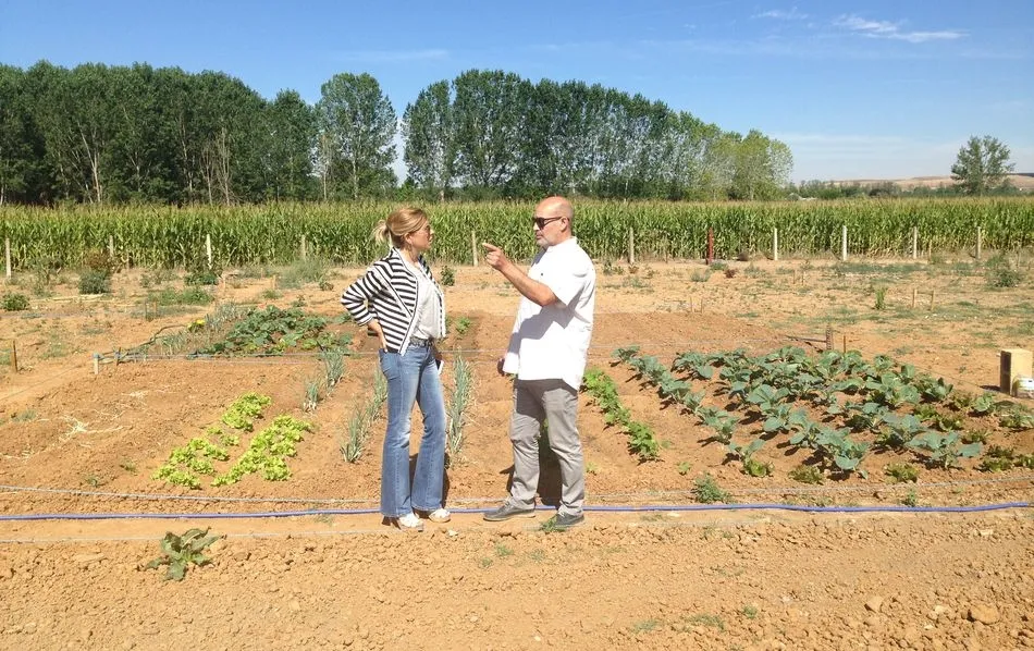 Nuevo periodo de adjudicación de los huertos de ocio