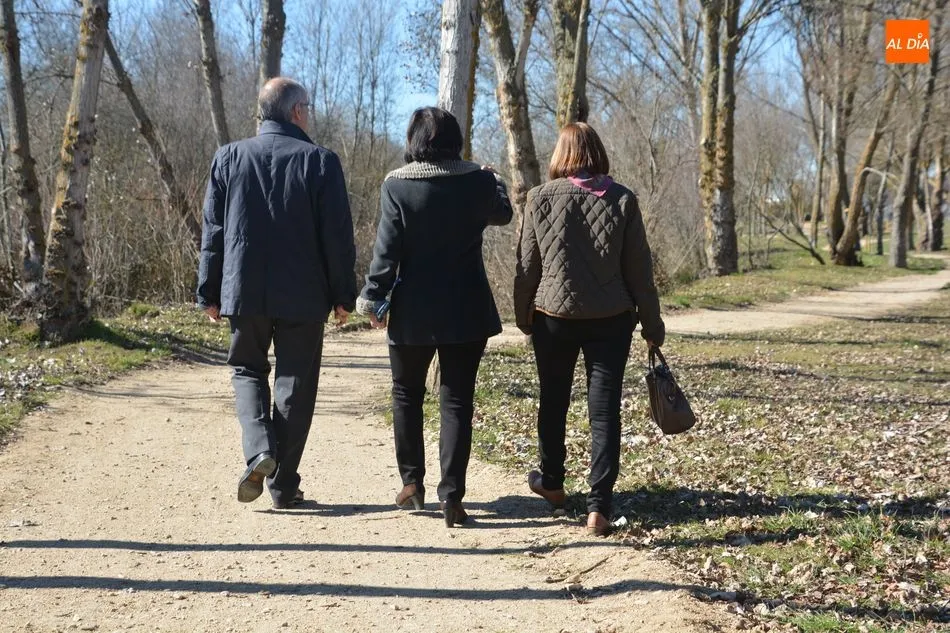 Se actuará sobre una longitud de 1.259 metros y una superficie de 10.645 metros cuadrados, donde también se colocarán 26 bancos y 26 papeleras, se instalarán 36 luminarias con tecnología energéticamente eficiente y se plantarán 105 árboles