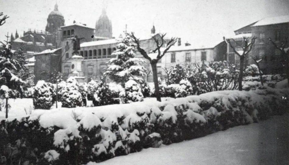 Ya no hay nevadas como las de antes