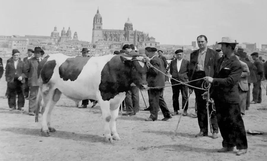 El antiguo mercado de ganado en el Teso de la Feria  
