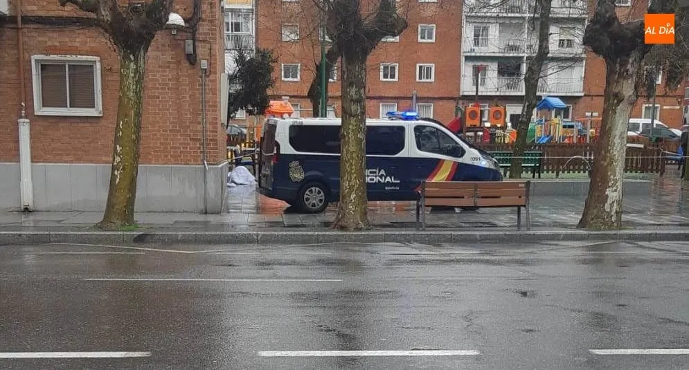 Furgón de la Policía Nacional en la zona donde fallecía el viandante