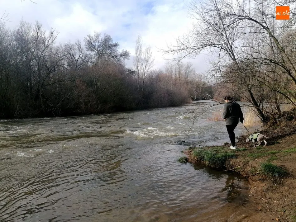 Aspecto del río Tormes hoy a su paso por la Isla del Soto - Fotos: Lydia González