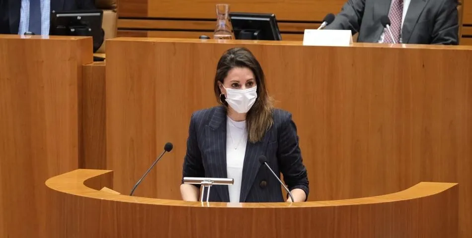 María Montero, procuradora de Cs por Salamanca, en las Cortes de Castilla y León