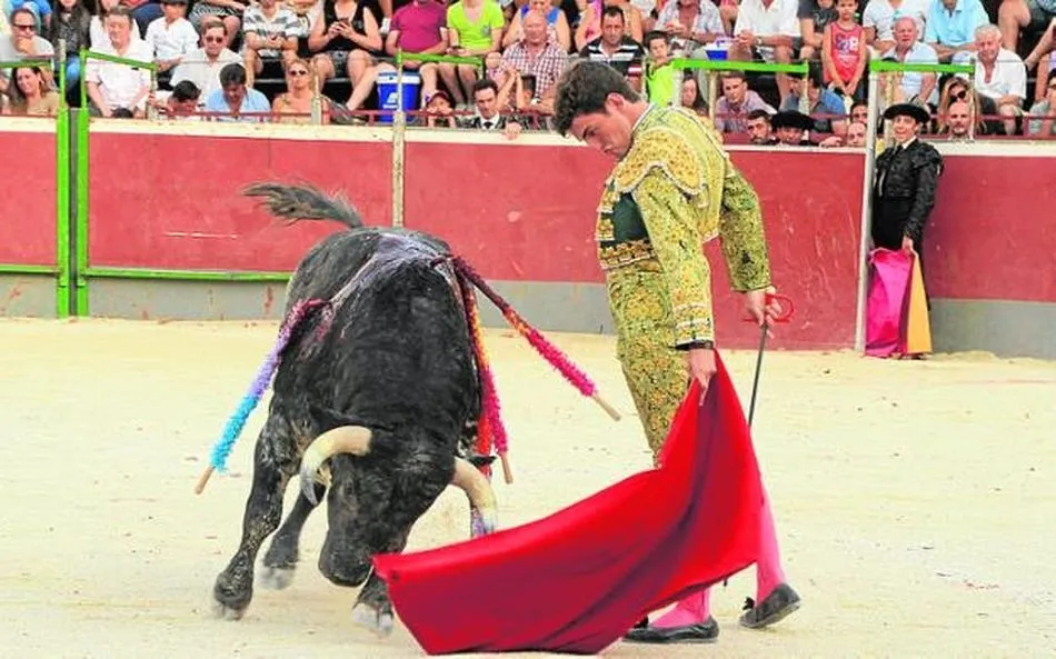 ¡Eh…eh…torito mírame! 