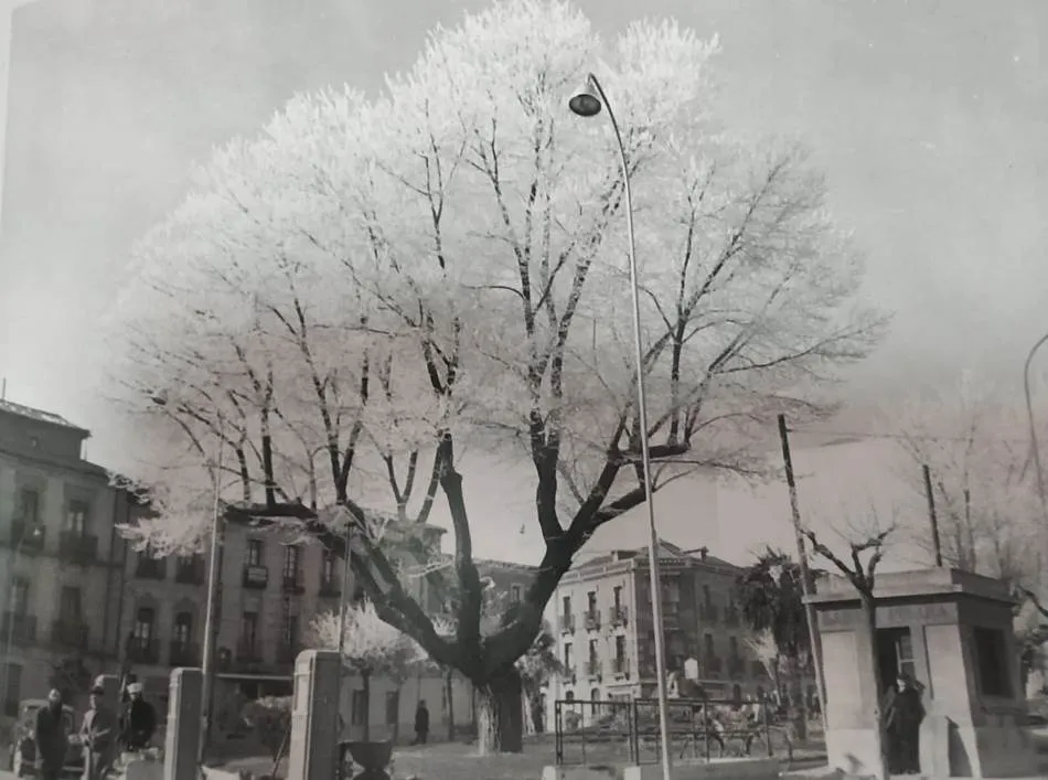 La estación de servicio y la báscula de la plaza de España