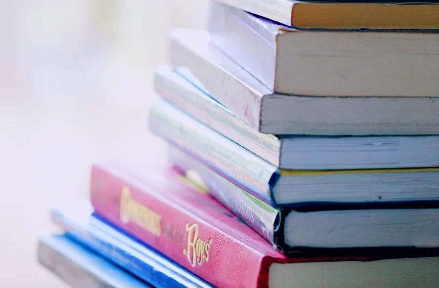 Entre los lotes donados se pueden encontrar títulos actuales y clásicos para lectores de todas las edades