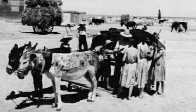 El acarreo de la paja en Ventosa del Río Almar