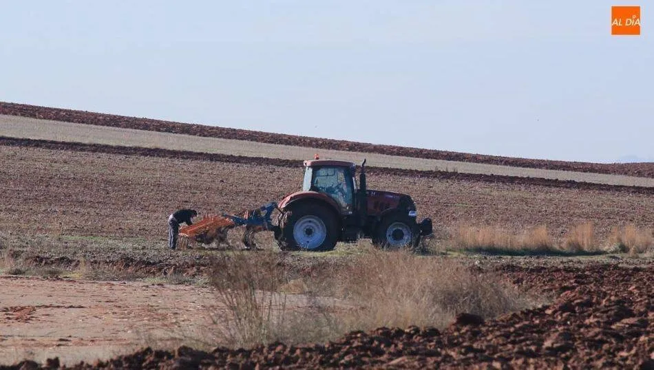 En el pago de la liquidación de ayudas a superficies 2020 se han incluido los 599 jóvenes agricultores